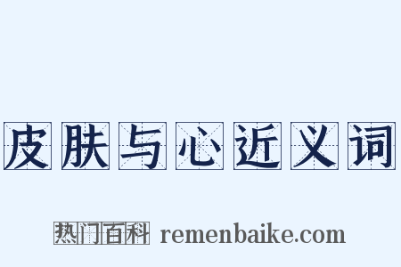 皮肤与心近义词是什么意思的图片